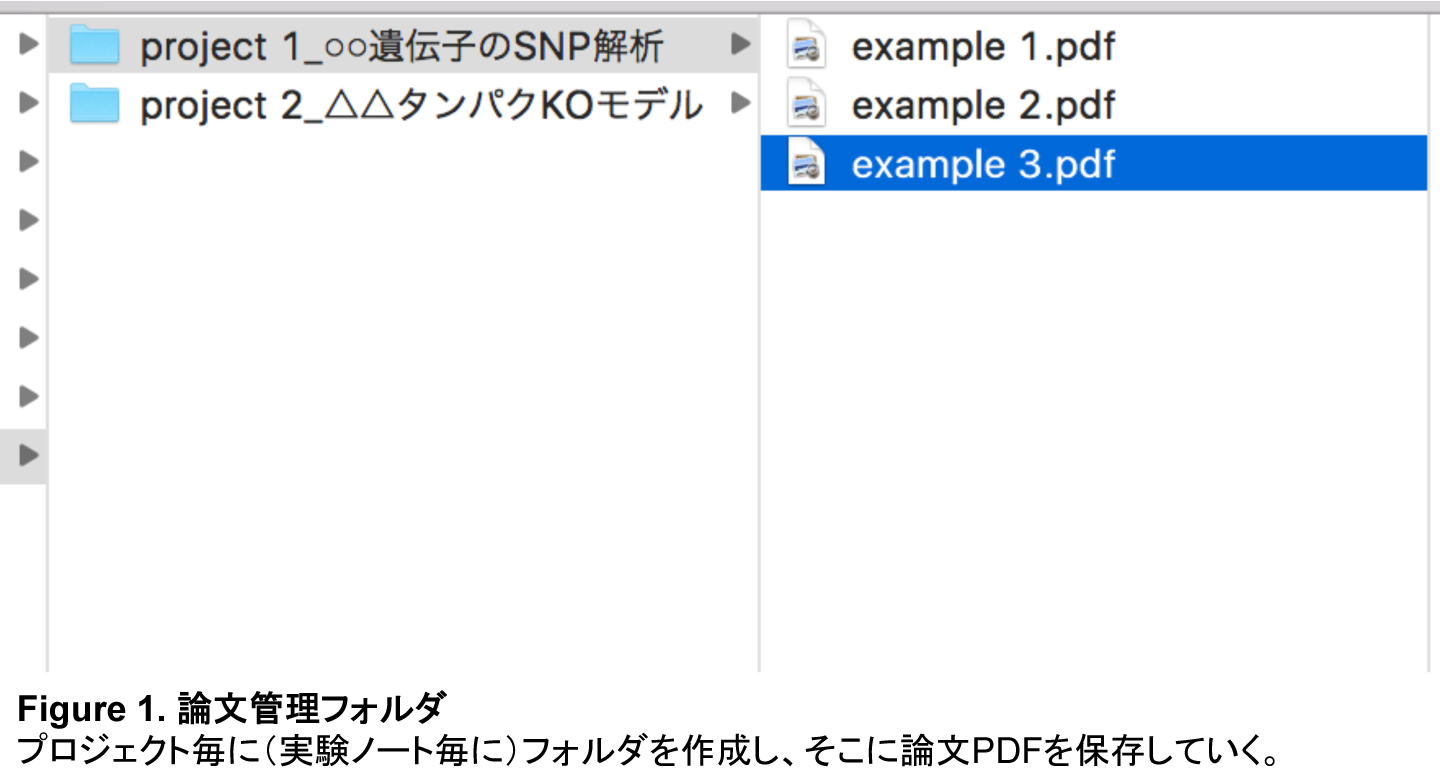 Biomedサーカス Com 医学生物学研究の総合ポータルサイト